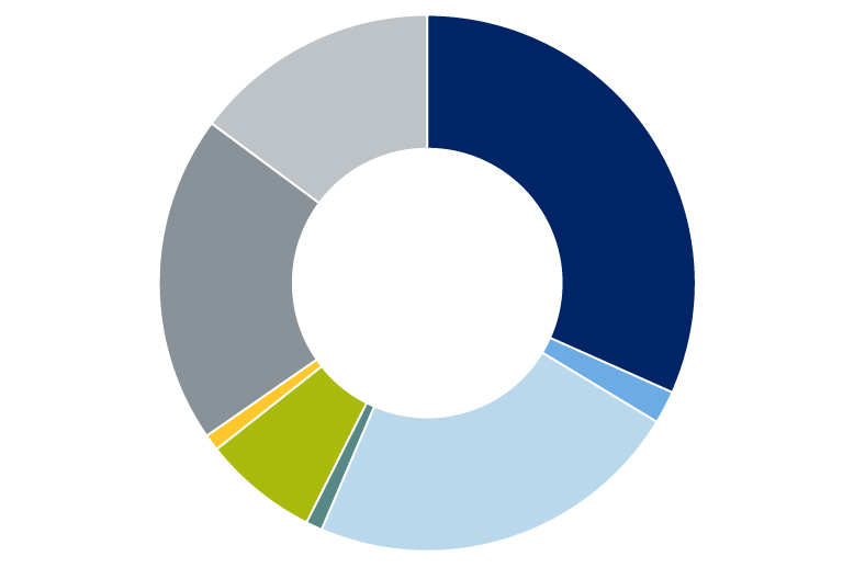 Gray scenario pie chart.