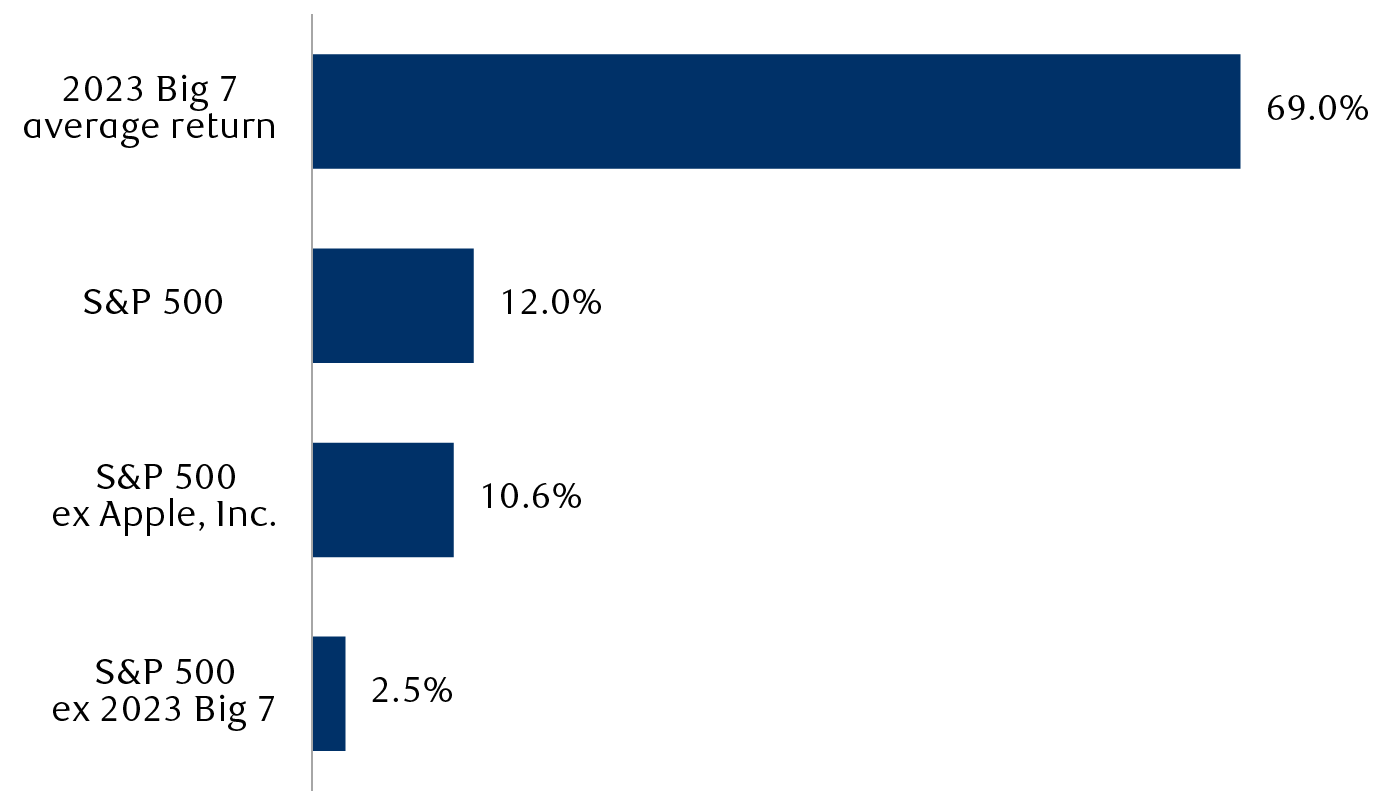 Big 7 stocks 2023 YTD performance