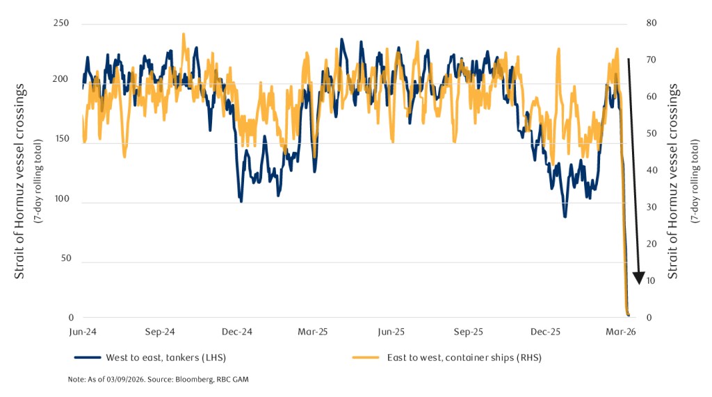 Ship crossings in Strait of Hormuz come to a near halt