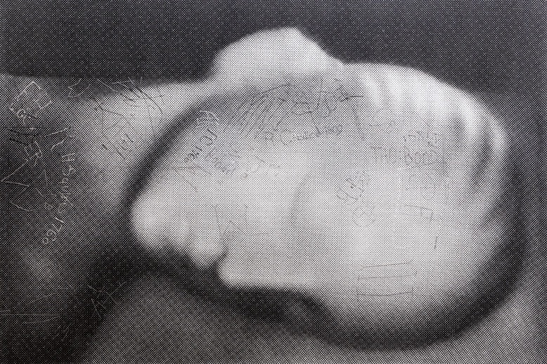 detail of artwork by shannon bool