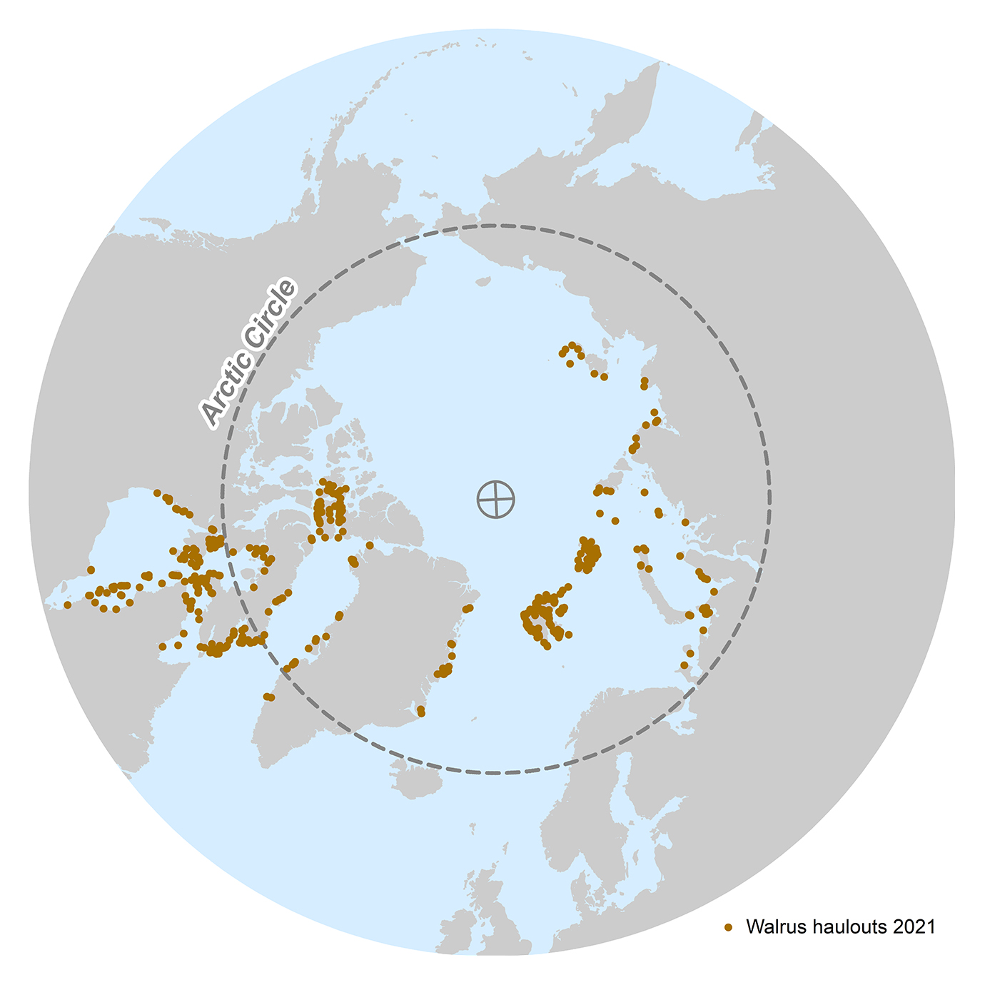 map haulout atlantic laptev 2021