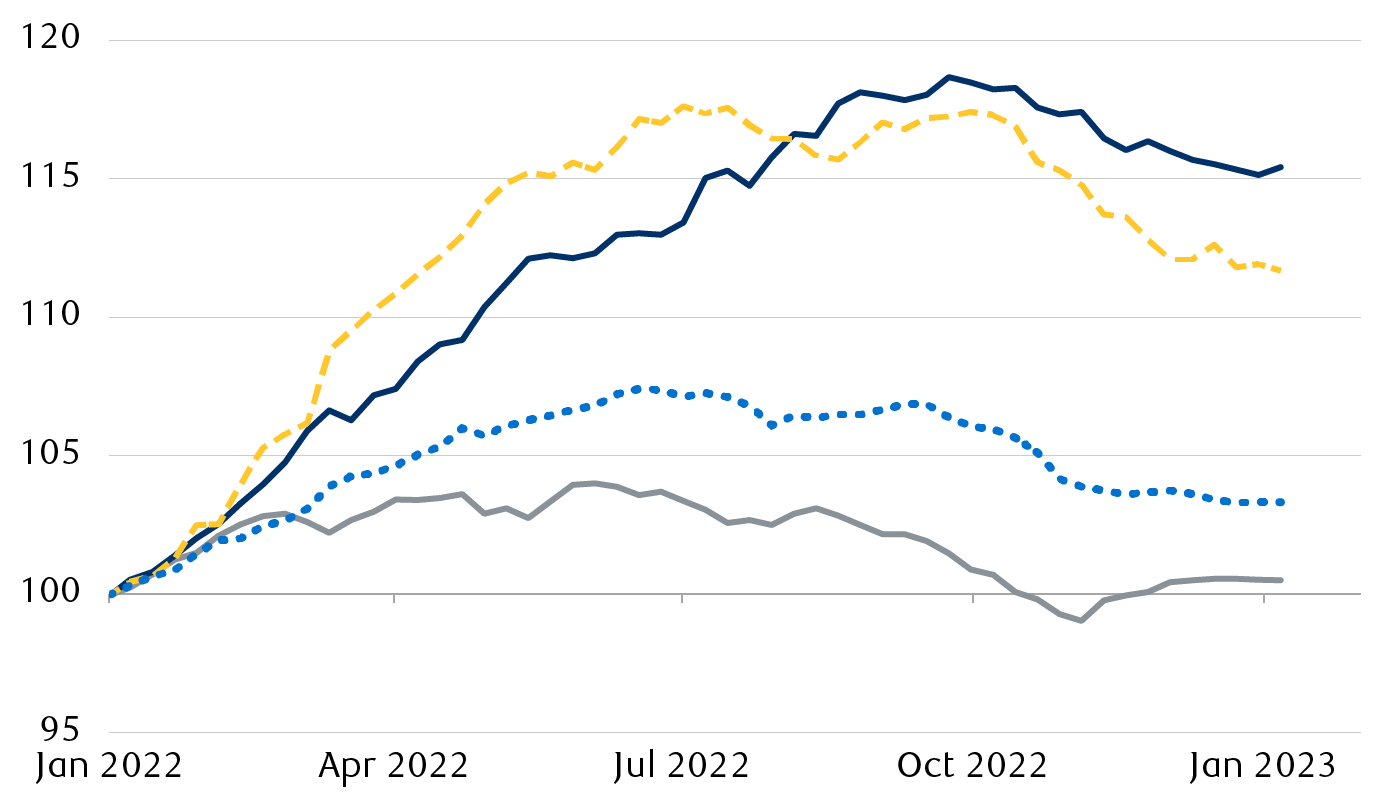 Consensus forward 12-month EPS estimate