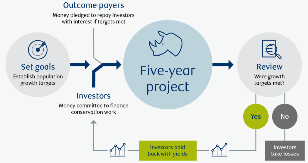 A flow chart demonstrating the tangible impact of investments supporting biodiversity, in this case, the black rhino population.