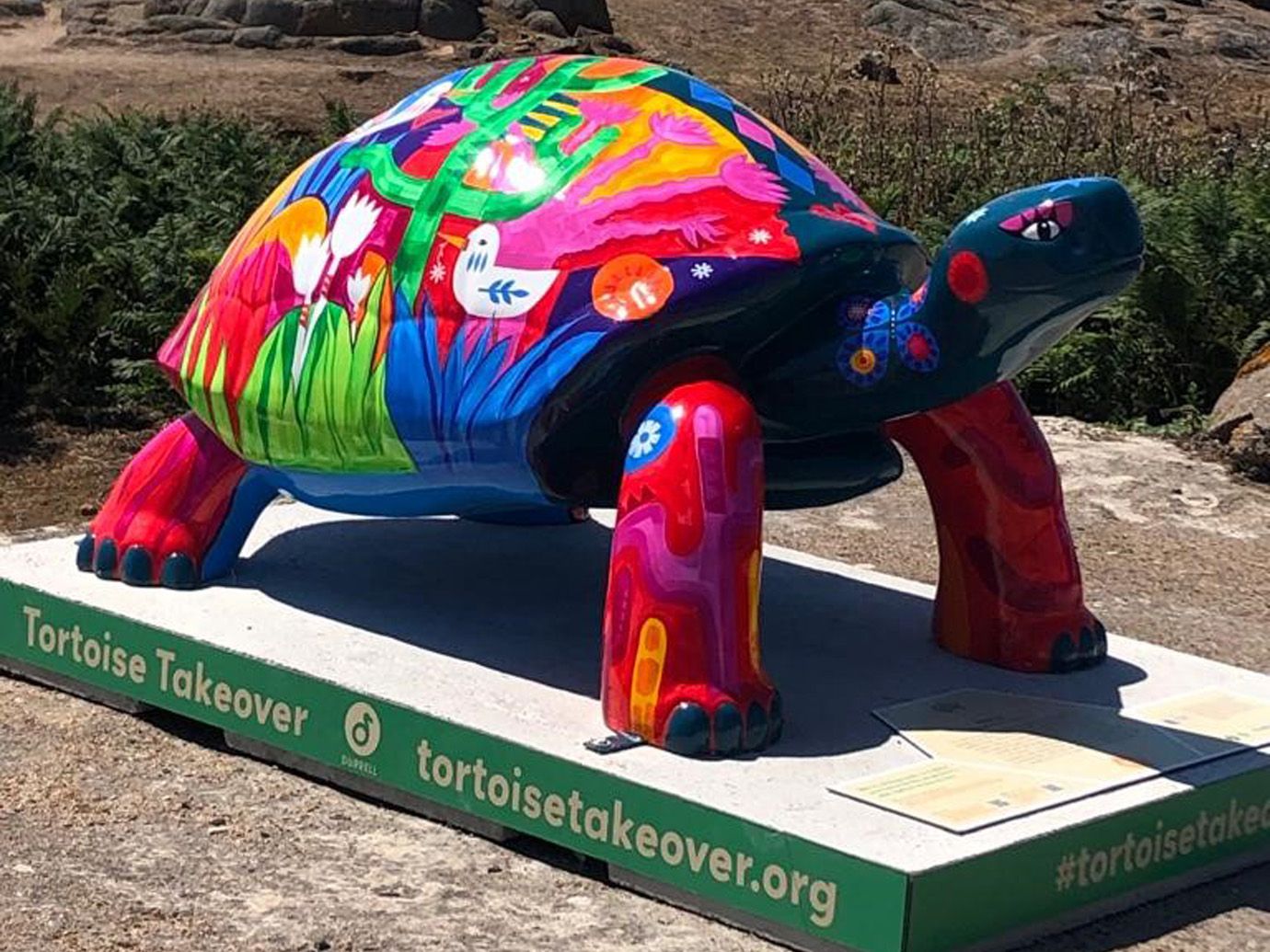 Photo of RBC Wealth Management's sponsored colourful giant tortoise named Margo, who is one of 50 sculptures forming part of the Tortoise Takeover.