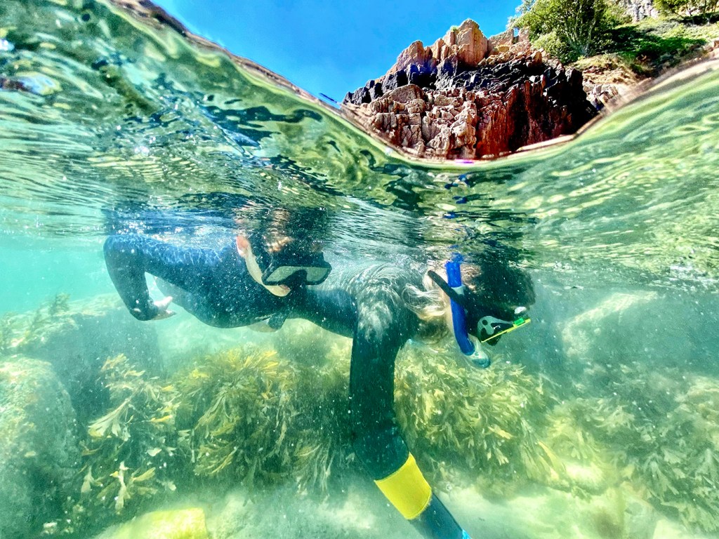 Two people are snorkelling in Portelet Bay off the coast of Jersey.