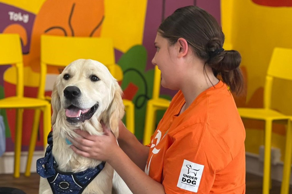 A “Dogs in Schools” programme dog smiling with Underdog International employee during animal-assisted therapy session. Photo credit: Underdog International.