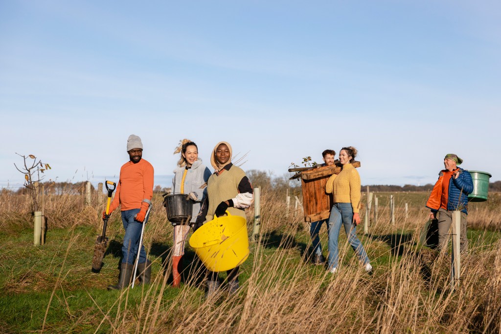 volunteers picking up rubbish in a local park