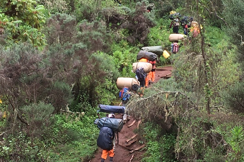 people climbing mt kilimanjaro in page