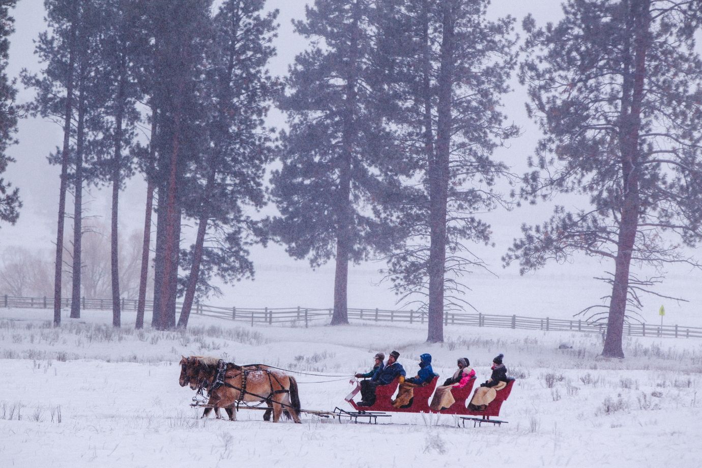 Photo of people riding in a sleigh at Paws Up
