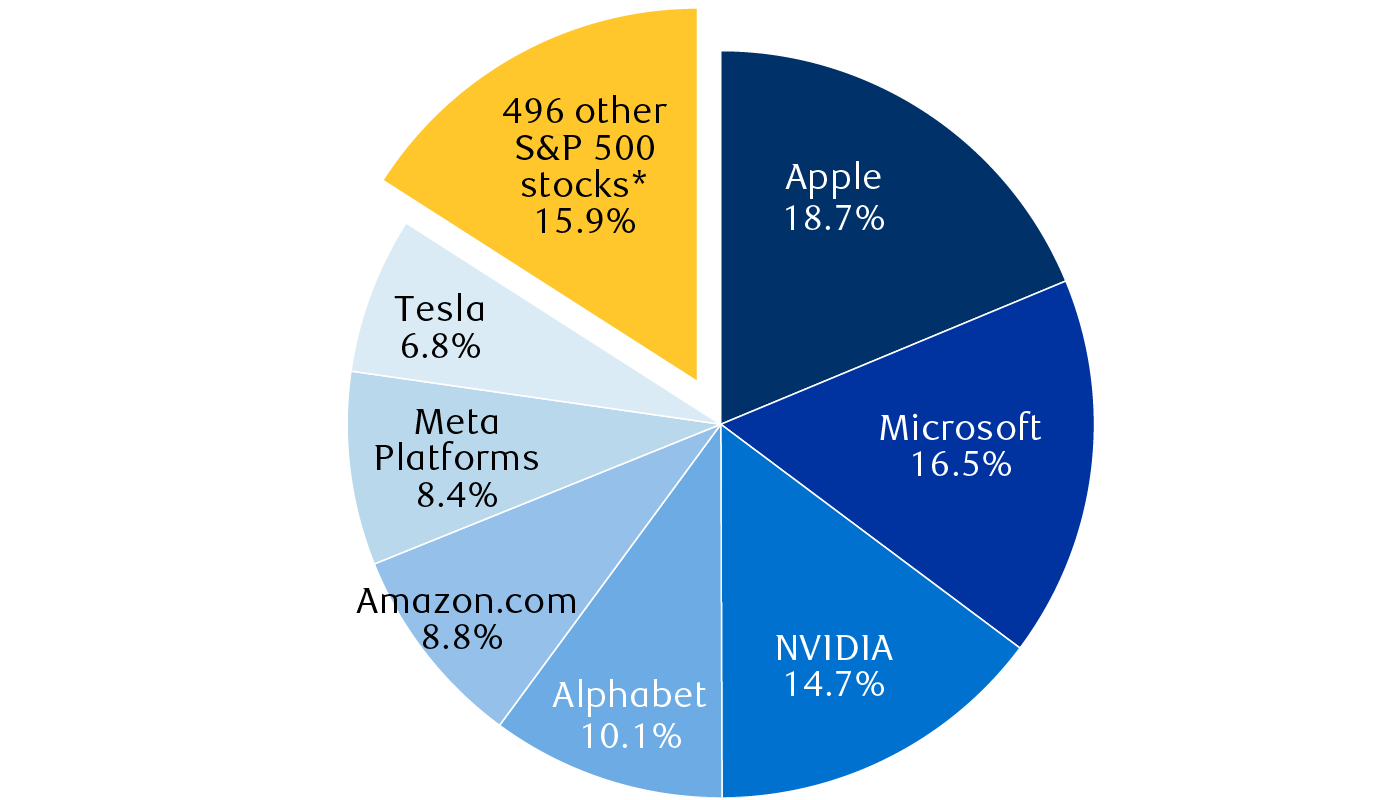 Proportions of year-to-date returns within the S&P 500