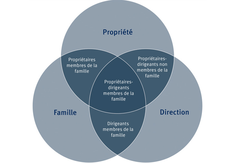 Diagramme en cercle de propriété de gestion familiale