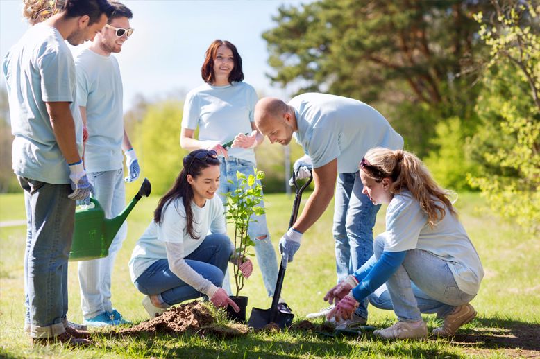 group of people planting tree