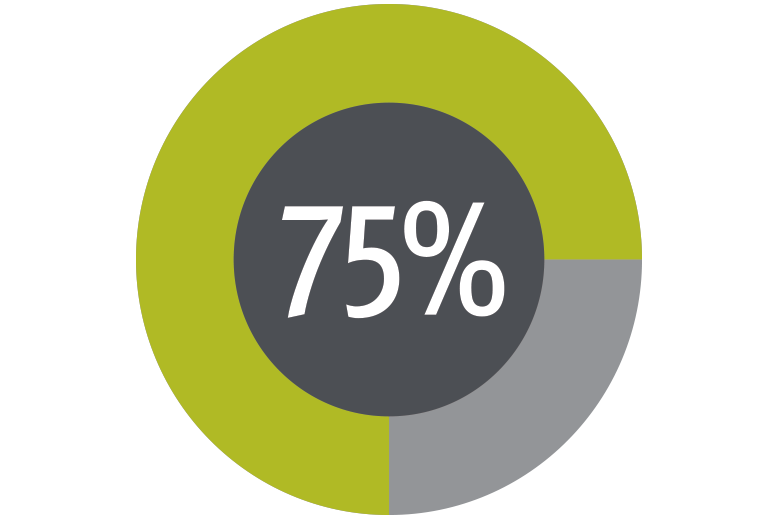 75 percent pie chart