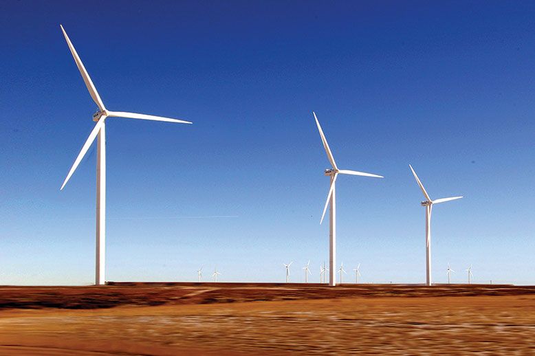 wind turbines in a field