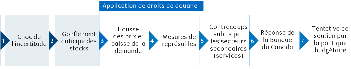 Comment un droit de douane américain se répercute sur l’économie
          canadienne